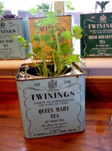boite thé deco twinnings plante